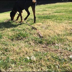 Meet your Posher, Tamara